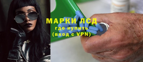 СК Снежногорск