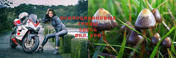соль курить ск Верея