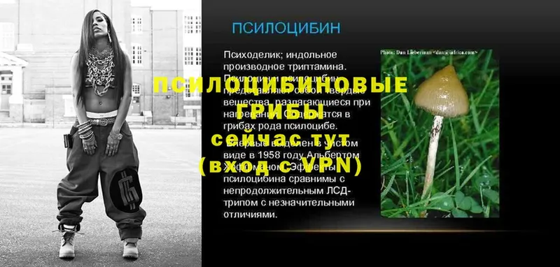 Псилоцибиновые грибы мухоморы Рязань